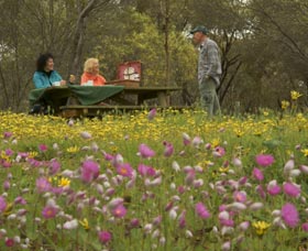 Gwambygine Park - Attractions 0