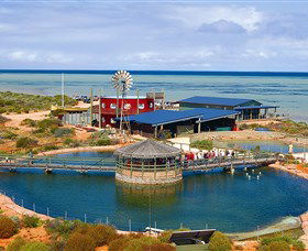 Shark Bay WA Attractions
