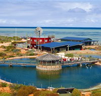 Ocean Park Aquarium - Attractions