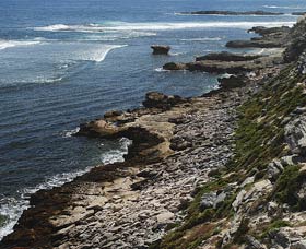 Cape Vlamingh - Attractions 0