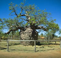 Pigeon Heritage Trail - Attractions