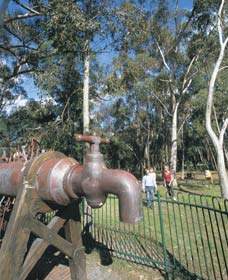 Mundaring Community Sculpture Park - Attractions 0