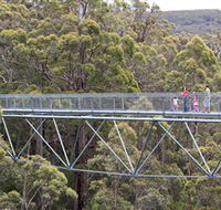 Walpole Wilderness Discovery Centre - Attractions