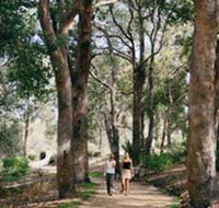 Law Trail and Lotterywest Federation Walkway Kings Park - See Attractions