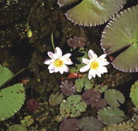 Parry Lagoons Nature Reserve - Attractions
