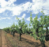 Blackwood Meadery - Attractions