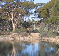 Merredin Railway Dam - Attractions