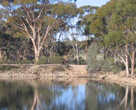 Merredin Railway Dam - Attractions 0