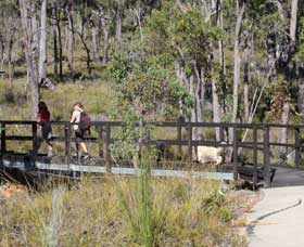 Forest Path, Crooked Brook - Attractions 0