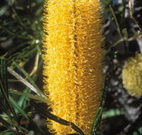 Moore River National Park - Attractions