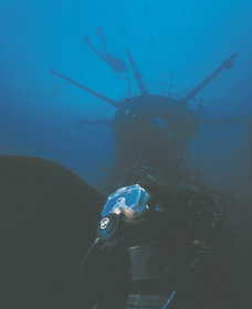 Swan Dive Wreck - Attractions 0