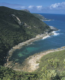 Jimmy Newells Harbour - Attractions 0