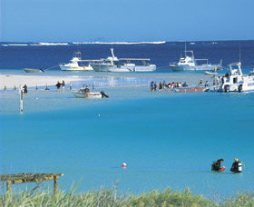 Bill's Bay - Attractions Las Vegas 0