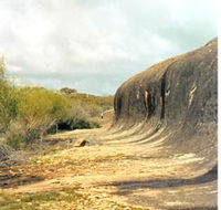 Totadgin Dam Reserve - Attractions