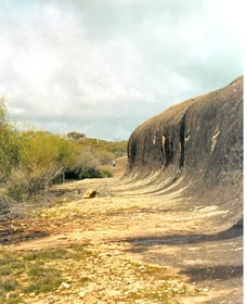 Totadgin Dam Reserve - Attractions 0