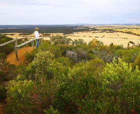 Archer Drive Scenic Drive And Lookout - Attractions 0