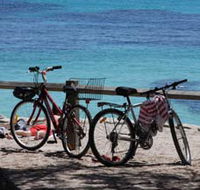Parker Point Marine Snorkel Trail - Attractions
