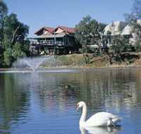 White Swans - Attractions