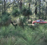 Bridgetown Jarrah Park - Attractions