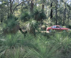 Bridgetown Jarrah Park - Attractions 0