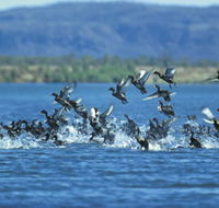 Ord River - Attractions