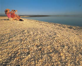 Shell Beach - Attractions 0