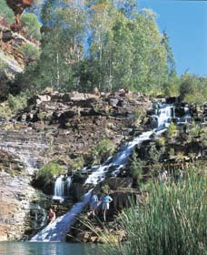 Fortescue Falls - Attractions 0
