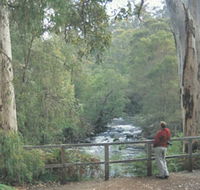 Cascades - Attractions