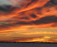 One Mile Jetty Top Trail