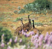 Jurabi Coastal Reserve - Attractions