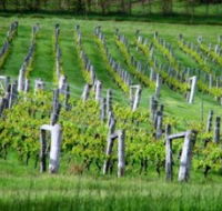 Sienna Estate Winery - Attractions