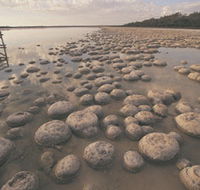 Yalgorup National Park - Attractions