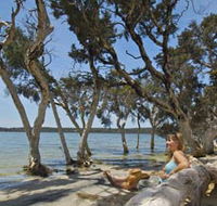 Stokes National Park - Attractions