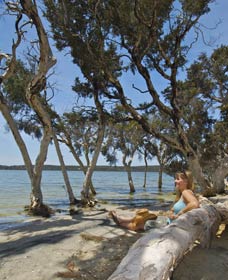 Stokes National Park - Attractions 0