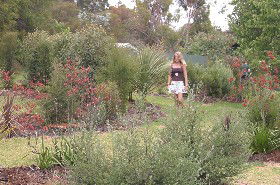 The Mythic Mazes - Attractions 0