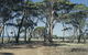 Lake Dumbleyung - thumb 0
