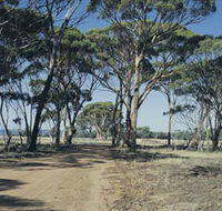Lake Dumbleyung - Attractions