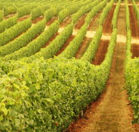 Xanadu Wines - Attractions