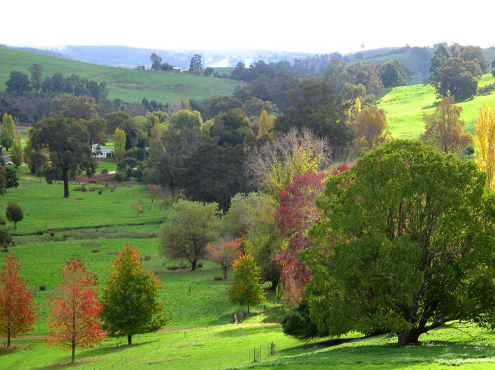 Balingup WA Attractions