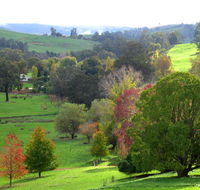 Golden Valley Tree Park - Attractions