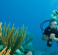 Coastal Water Dive - Attractions