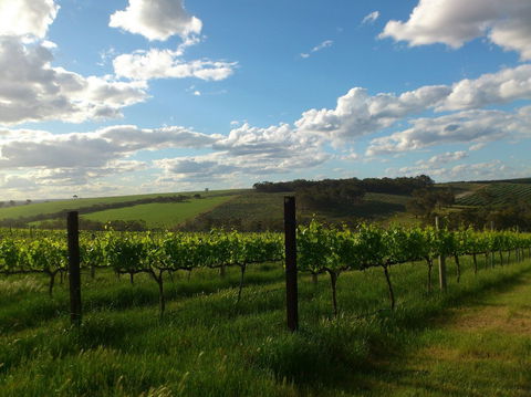 Plantagenet Wines - Attractions 1