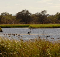 Anytime Adventures in Mandurah  the Peel Region - Attractions