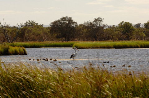 Anytime Adventures In Mandurah & The Peel Region - Attractions 0