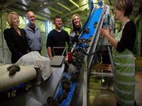 Book Port Lincoln Accommodation Vacations Attractions Attractions