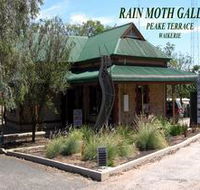 Rain Moth Gallery - Attractions