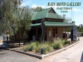 Rain Moth Gallery - Attractions 0