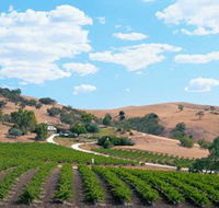 Bethany Wines - Attractions