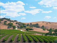 Bethany Wines