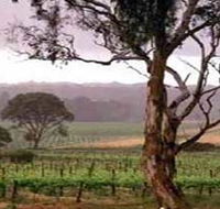 Yangarra Estate Vineyard - Attractions